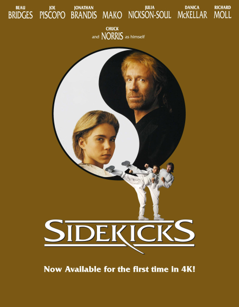 A bajnok és a kölyök borítókép