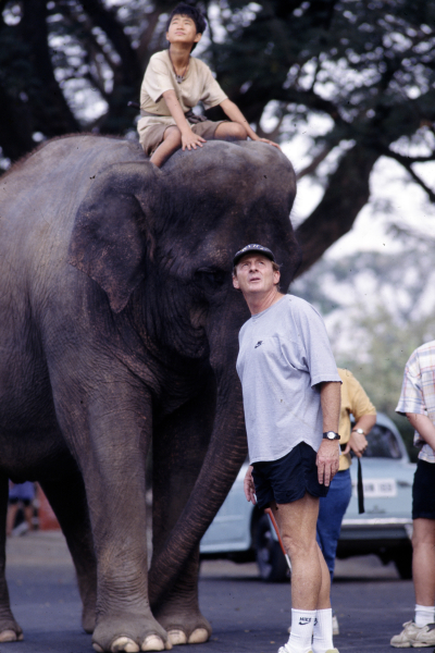 A Dumbo hadművelet borítókép