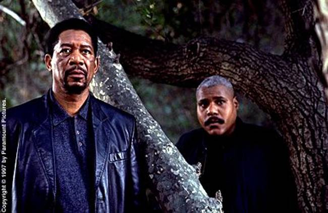 A gyűjtő borítókép