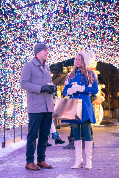 A karácsony örökösnője borítókép