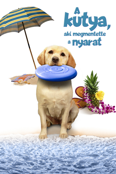 A kutya, aki megmentette a nyarat borítókép