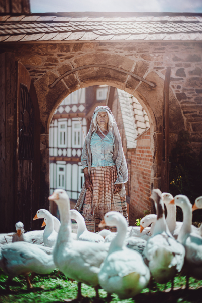 A libahercegnő borítókép