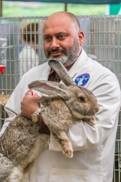 A Midsomer gyilkosságok borítókép