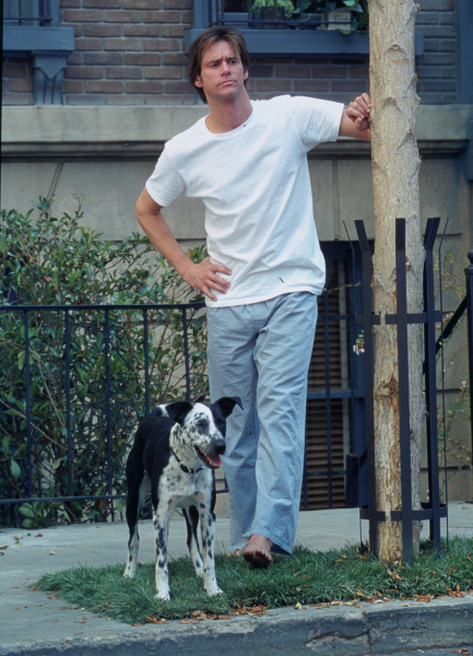 A minden6ó borítókép