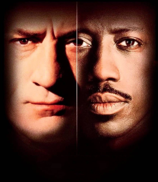 A rajongó borítókép