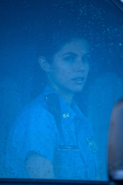 A természet ereje borítókép