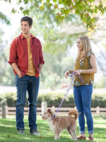 A város hőse borítókép