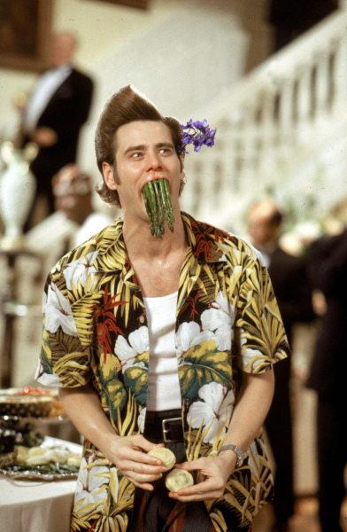 Ace Ventura 2. - Hív a természet borítókép