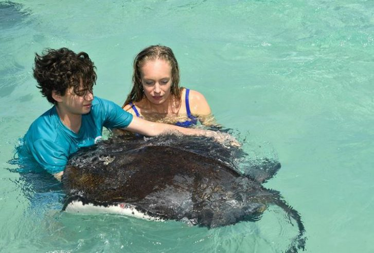 Álomhajó - Antigua borítókép