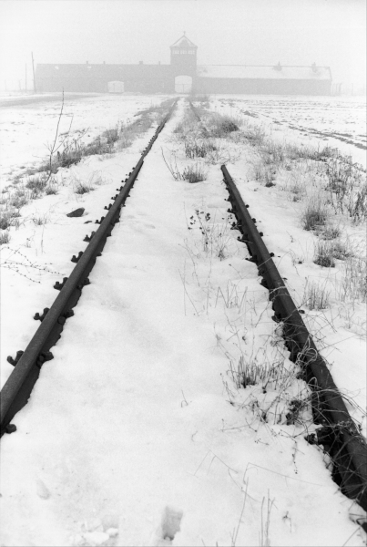 Auschwitz: Visszaszámlálás a felszabadításig borítókép