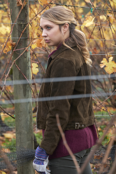 Az Eltitkolt Krónikák: Prés alatt borítókép