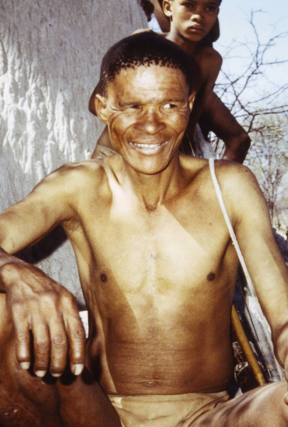 Az istenek a fejükre estek borítókép