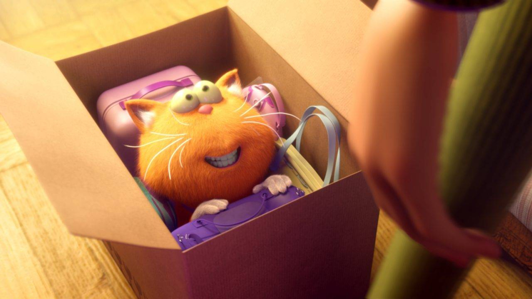 Beépített cicó borítókép