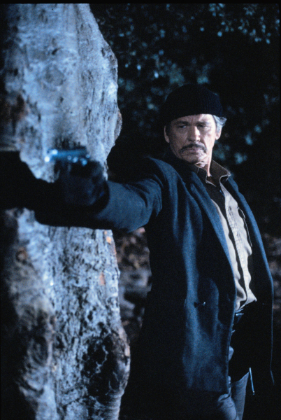 Bosszúvágy 2 borítókép