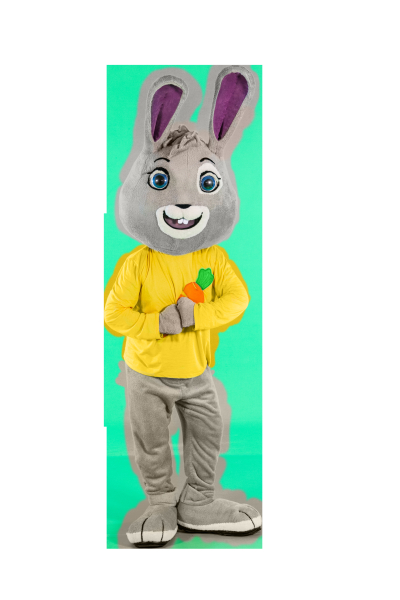 BRANDNYUSZI TÁNC borítókép