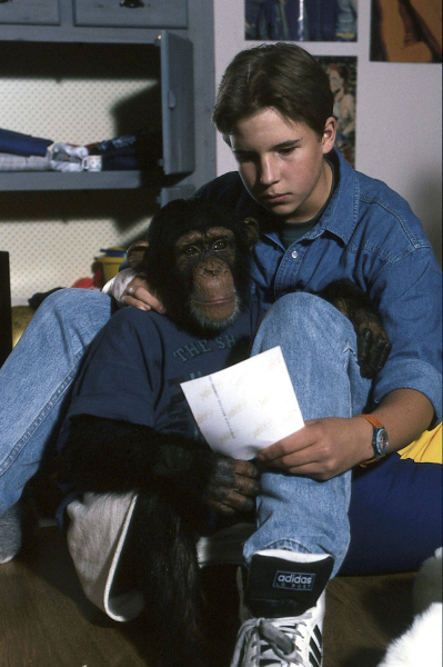 Charly, majom a családban borítókép