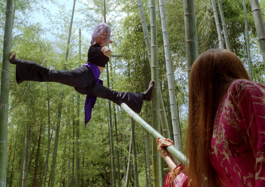 DOA: Élve vagy halva borítókép