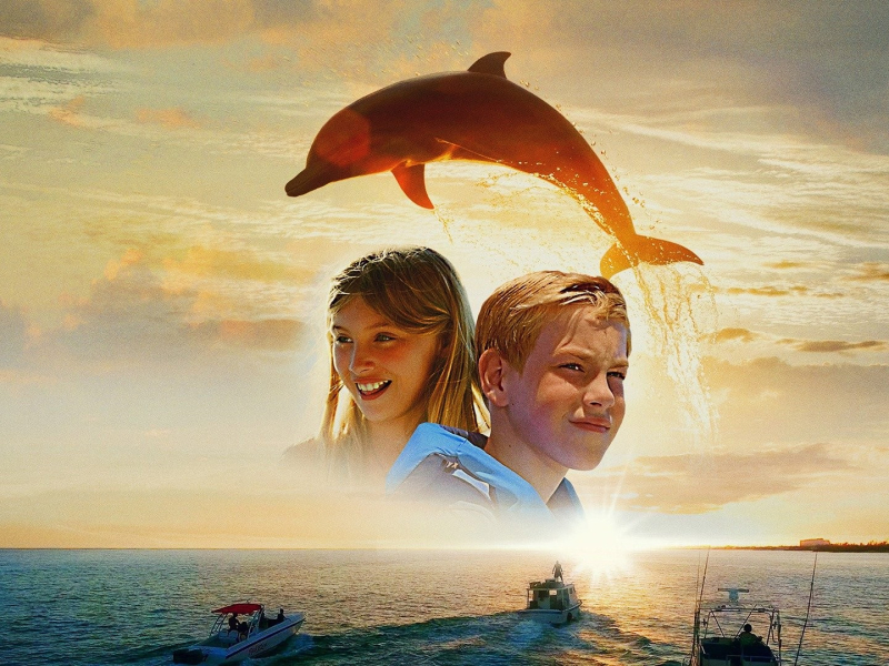 Echo, a delfin borítókép