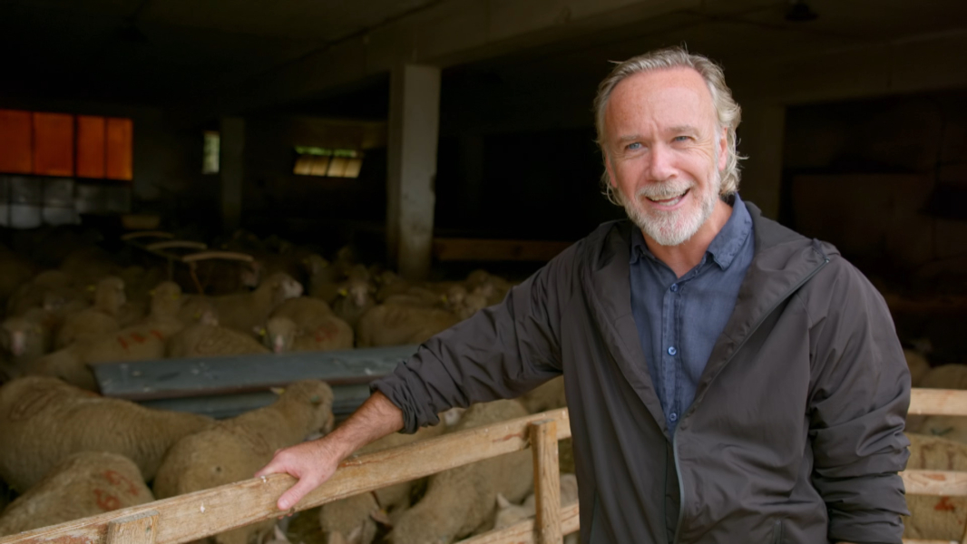 Egyszerűen Provence - Marcus Wareinggel borítókép