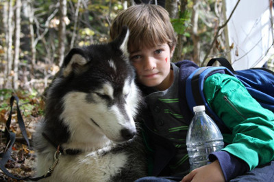 Elveszve A Vadonban borítókép