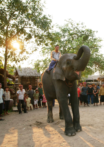 Én és a hercegem 4. - Elefántkaland borítókép