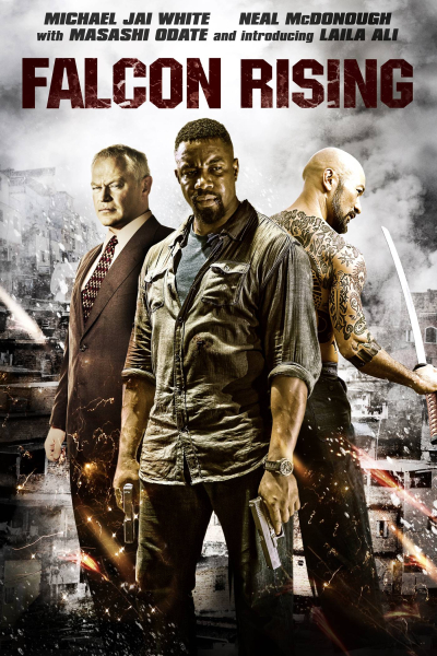 Fedőneve: Sólyom borítókép