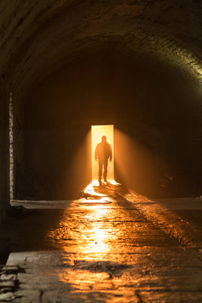 Fosztogatók borítókép