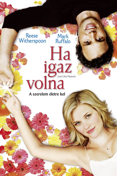 Ha igaz volna... borítókép