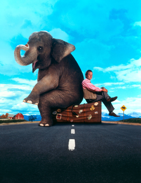 Hatalmas aranyos borítókép