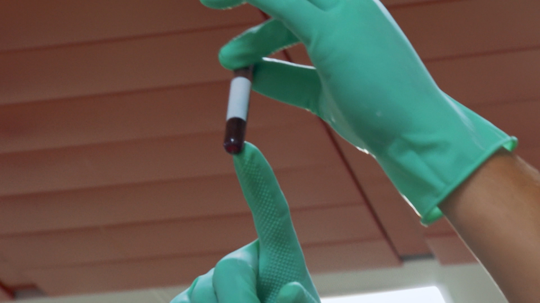 Határvédelem - Kuba borítókép