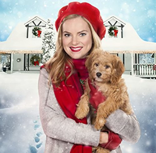 Karácsonyi kutyabaj borítókép