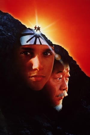 Karate kölyök 3. borítókép
