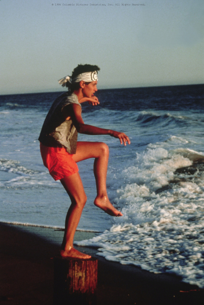 Karate kölyök borítókép