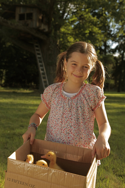 Katie Fforde - Álom és szerelem: Szerelem túladagolva borítókép