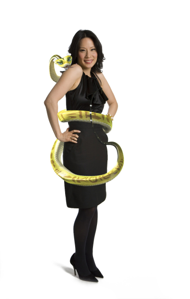 Kung Fu Panda borítókép