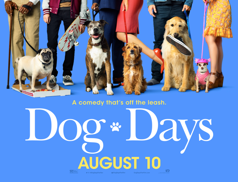 Kutya egy nyár borítókép