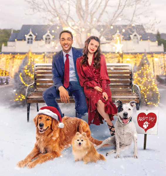 Kutyát a fa alá borítókép