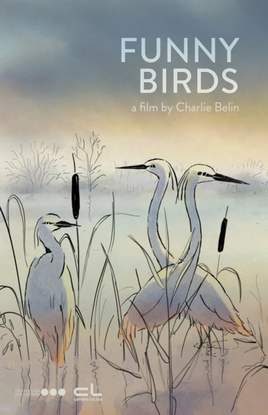 Lenyűgöző madarak borítókép