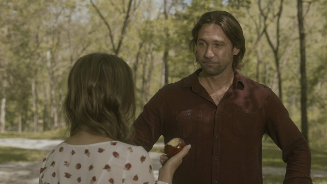 Lily virágai borítókép