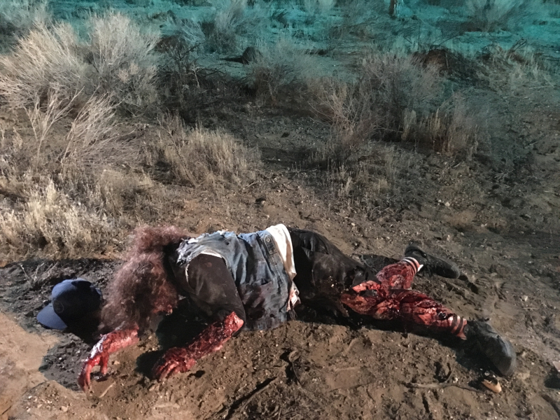 Mutáns mutánsok támadása borítókép