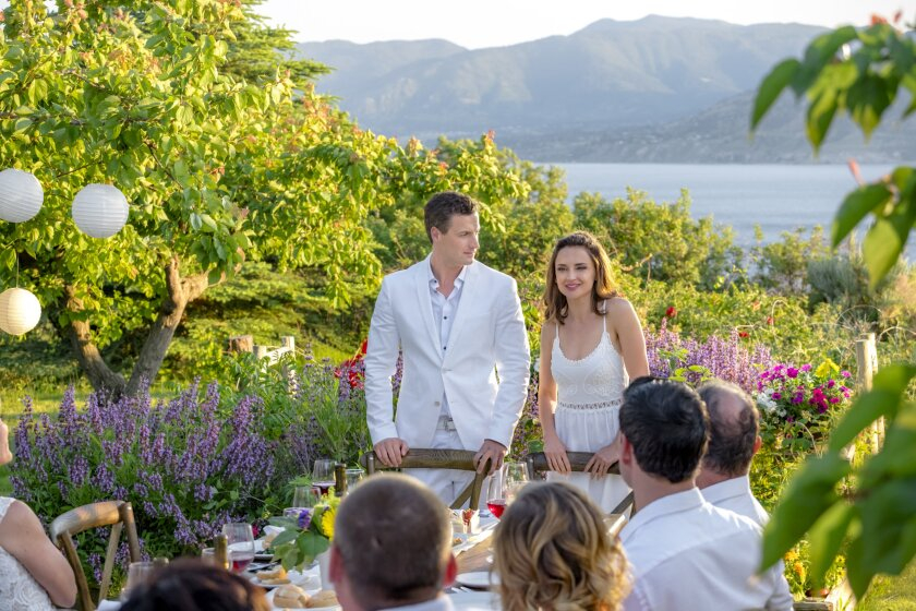 Nyár a szőlőskertben borítókép