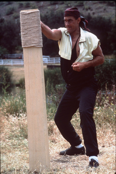 Ölve vagy halva borítókép