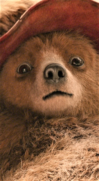 Paddington 2. borítókép