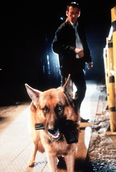 Rex felügyelő borítókép