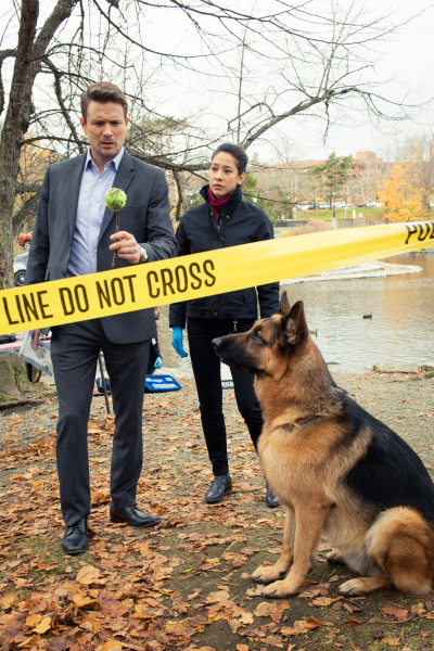 Rex Kanadában borítókép