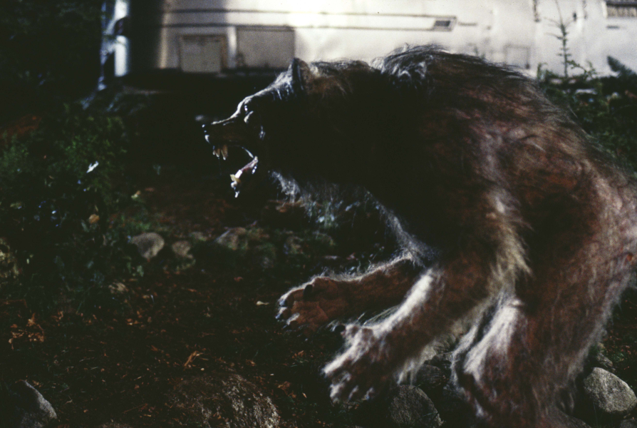 Rossz hold borítókép