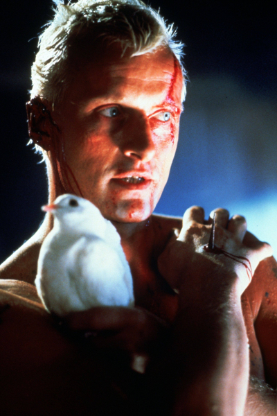 Szárnyas Fejvadász borítókép