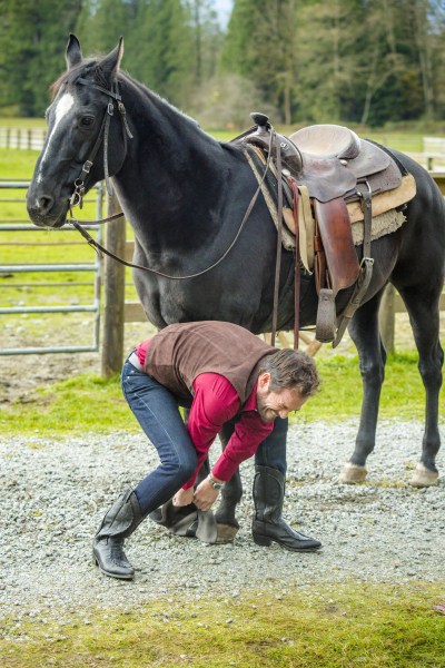 Szerelem a farmon borítókép
