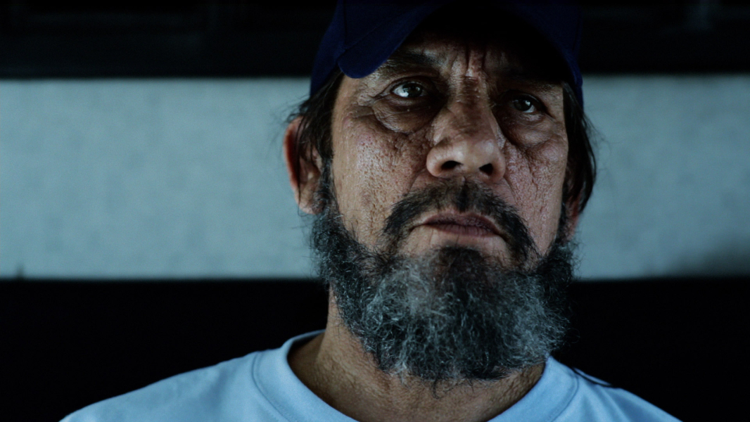 Tökös csávó borítókép