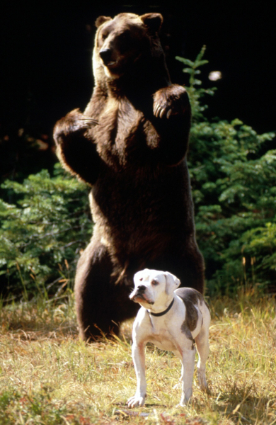 Úton hazafelé - Egy hihetetlen utazás borítókép